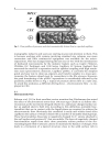 Modern Advances in Chromatography Advances in Biochemical Engineering Biotechnology Kindle Edition