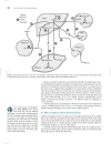 Marks Basic Medical Biochemistry A Clinical Approach 2nd Edition