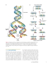 Introduction To Molecular Genetics And Geonomics