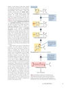 Introduction To Molecular Genetics And Geonomics