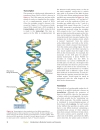 Introduction To Molecular Genetics And Geonomics