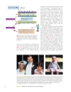 Introduction To Molecular Genetics And Geonomics