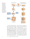 Introduction To Molecular Genetics And Geonomics