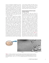 Introduction To Molecular Genetics And Geonomics