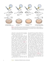 Introduction To Molecular Genetics And Geonomics