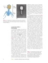 Introduction To Molecular Genetics And Geonomics