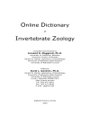 Dictionary of Invertebrate Zoology