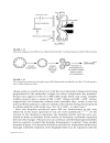 MASS SPECTROMETRY OF POLYMERS