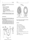 Basic Gas Chromatography