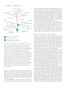 Molecular Cell Biology 5th ed Lodish et al