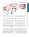 Molecular Cell Biology 5th ed Lodish et al