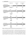 Encyclopedia of Separation Science