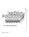 GSM Networks Protocols Terminology and Implementation