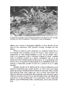 Aquarium Plants Their Identification Cultivation and Ecology