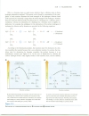 Chemistry of Radicals