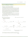 Chemistry of Radicals