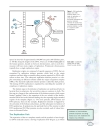 Genetics Macmillan Science Library Vol 4 R Z