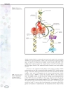 Genetics Macmillan Science Library Vol 4 R Z