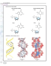 Genetics Macmillan Science Library Vol 4 R Z