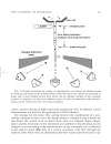 Flow Cytometry Protocols 2d ed