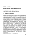 Phase Conjugate Laser Optics Wiley Series in Lasers and Applications