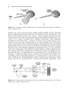 Phase Conjugate Laser Optics Wiley Series in Lasers and Applications