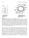 Basic Concepts in Biochemistry A Students Survival Guide 2d ed