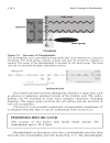 Basic Concepts in Biochemistry A Students Survival Guide 2d ed