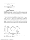 Fiber Optic Sensors