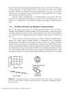 Fiber Optic Sensors