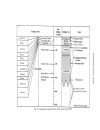 Molecular population genetics and evolution