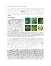 Developmental Biology 6th Ed