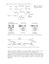 Titanium And Zirconium In Organic Chemistry