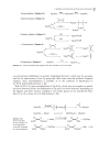 Titanium And Zirconium In Organic Chemistry