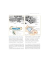 Molecular Cell Biology 5th Eition