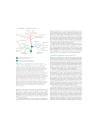 Molecular Cell Biology 5th Eition