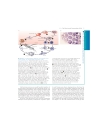 Molecular Cell Biology 5th Eition