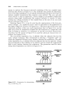 High Frequency Techniques An Introduction to RF and Microwave Engineering 4