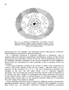 Principles of Electrochemistry 2d Ed