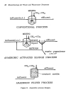 Biotechnology for Waste and Wastewater Treatment