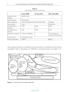 Location Management and Routing in Mobile Wireless Networks