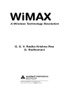 WiMAX A Wireless Technology Revolution