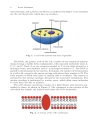 Tutorials in Mathematical Biosciences