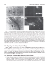 Developmental biology protocols