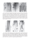 Developmental biology protocols