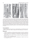 Developmental biology protocols