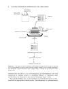 Molecular Biology in Cellular Pathology