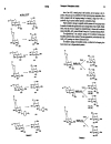 Preparative Carbohydrate Chemistry