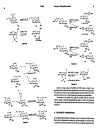 Preparative Carbohydrate Chemistry