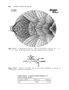 High Frequency Techniques An Introduction to RF and Microwave Engineering 5